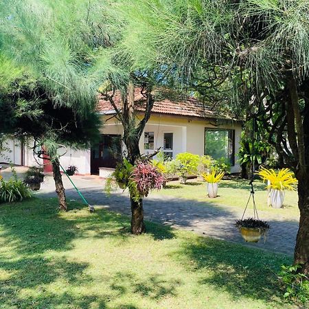 The Beez Hotel Negombo Ngoại thất bức ảnh
