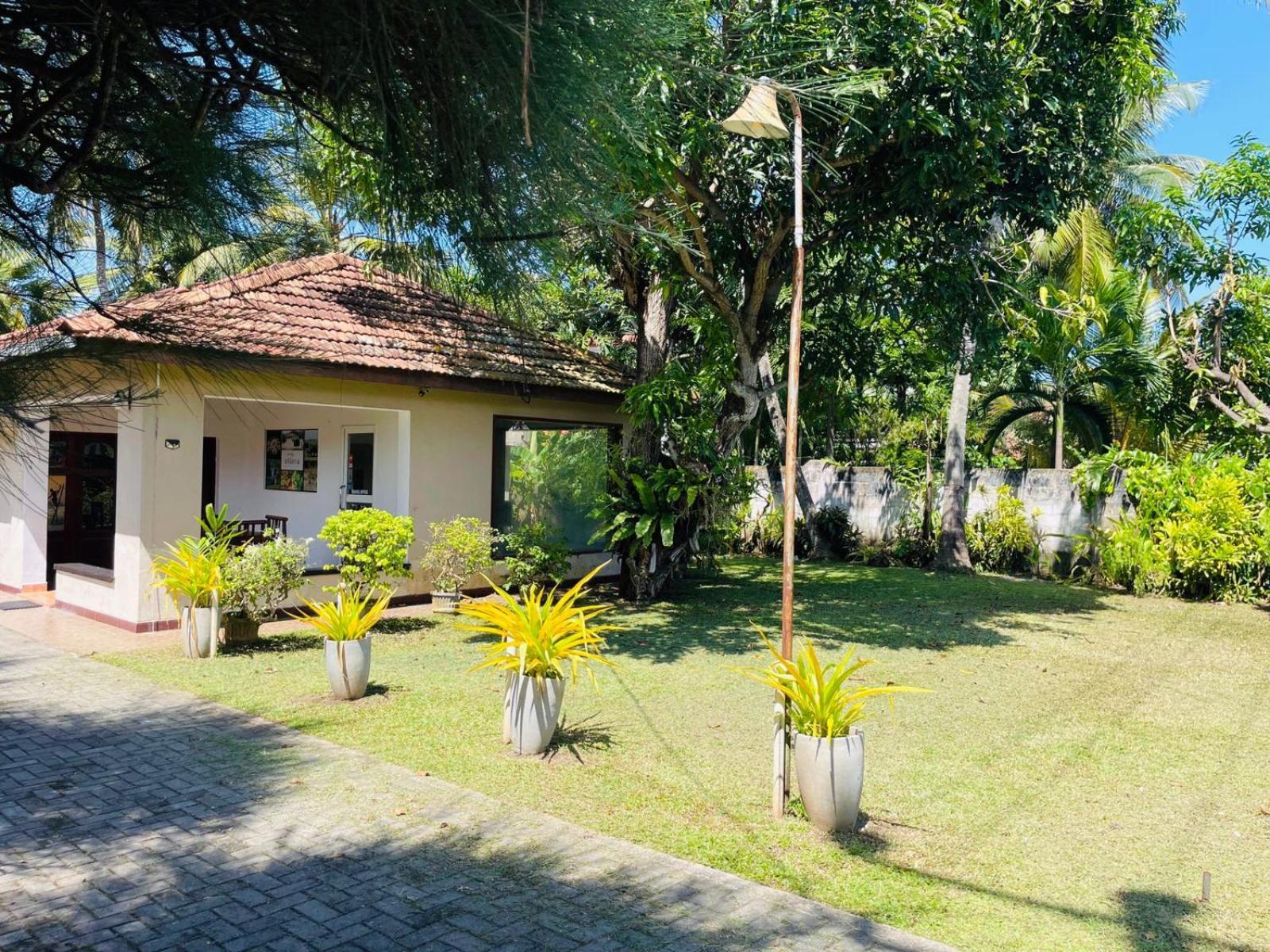 The Beez Hotel Negombo Ngoại thất bức ảnh